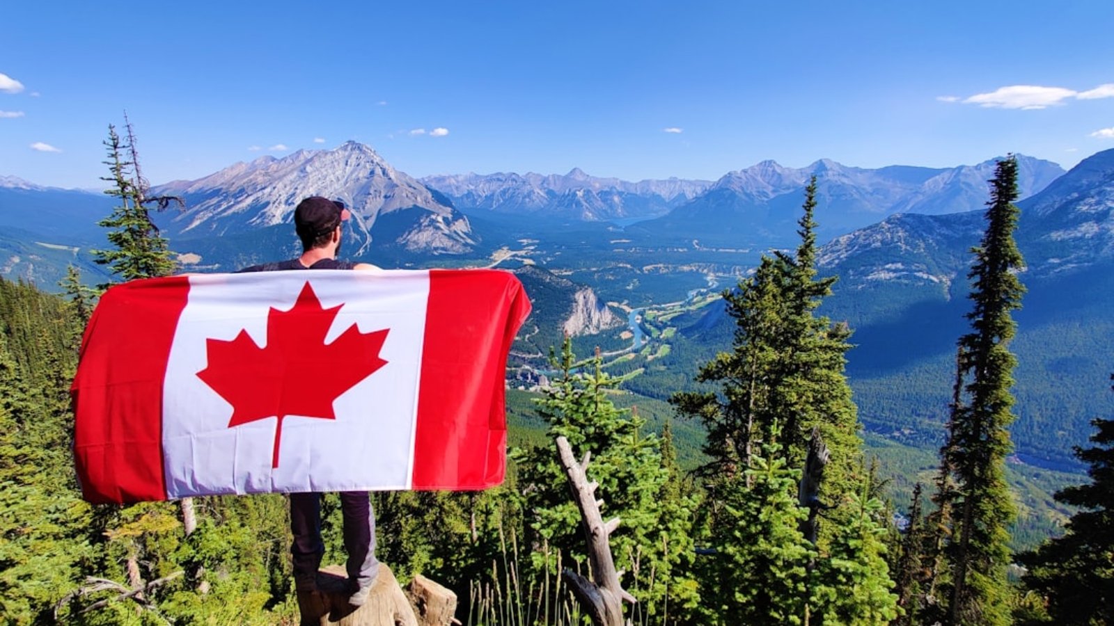 self-employed-canadian